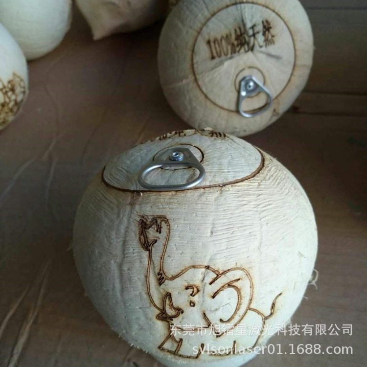 椰子壳LOGO激光雕刻机 椰皇易拉罐拉环开口全穿半穿不切肉切割机