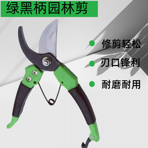 家用园艺工具修枝剪 剪修整花木树枝剪刀 绿柄普通款园林工具