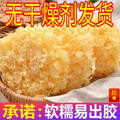 【带头降价】古田特产大花银耳干货正宗新鲜无硫大朵银耳白木耳