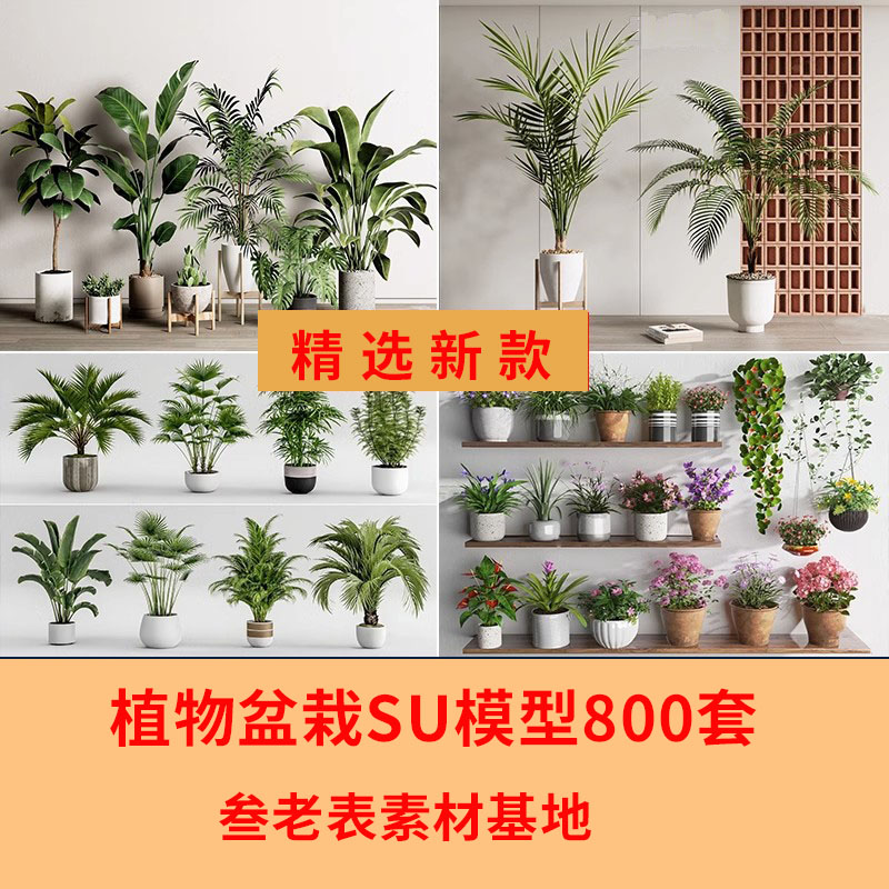 绿植植物花盆盆栽盆景松树单体草图大师SU模型室内花卉花草素材库