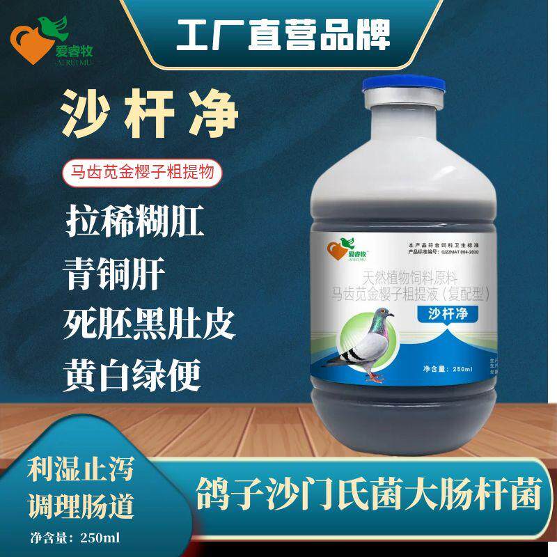 赛鸽信鸽鸟类净化沙门氏沙杆净天然植物