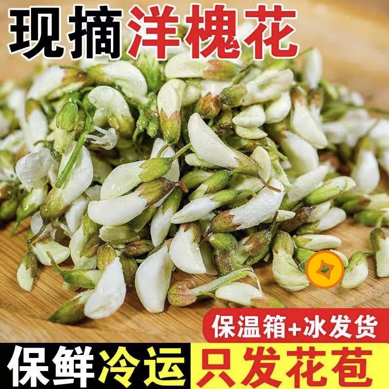 槐花新鲜槐树花当季时令蔬菜野菜2025年现摘野生杨槐花茶干品