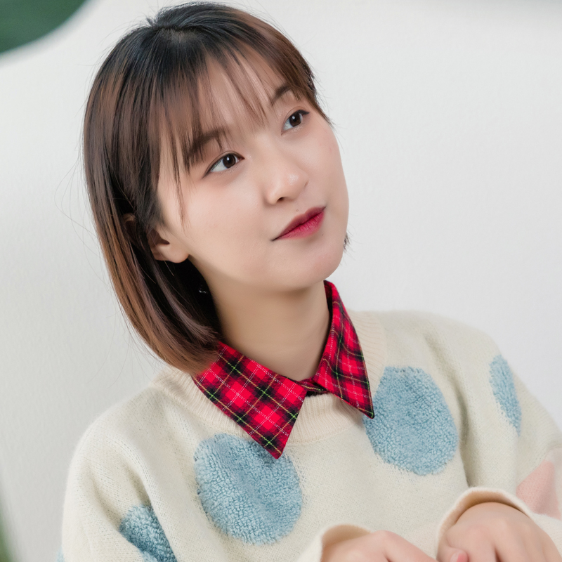 百搭多功能格子假衣领