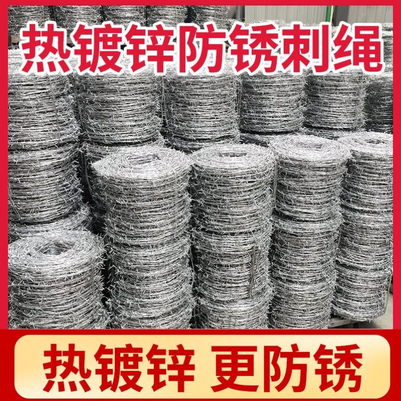 防盗刺绳防护网铁刺绳网刺铁丝防爬刺铁蒺藜围栏墙镀锌不生锈厂家