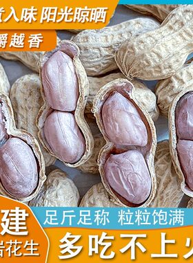 农家水煮花生蒜香咸干甜酒核酥盐焗白玉脆晒干带壳客家特产袋装