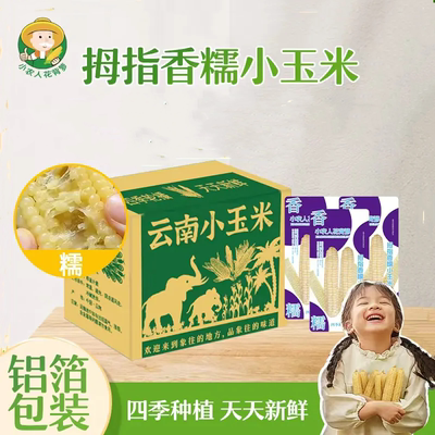 小农人拇指玉米云南香糯小玉米新鲜采摘软糯鲜香代餐早餐营养辅食