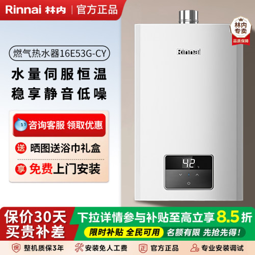 林内热水器焕芯系列进口芯片16升