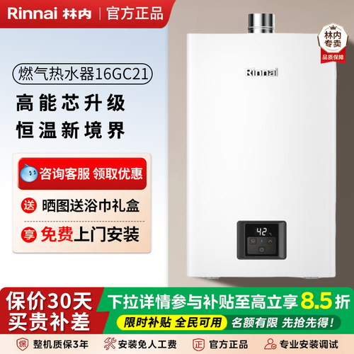 林内智能恒温16升强排式
