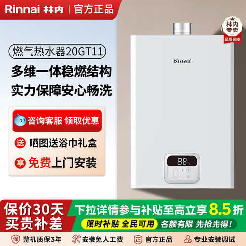 林内强排恒温热水器抗风稳燃20升