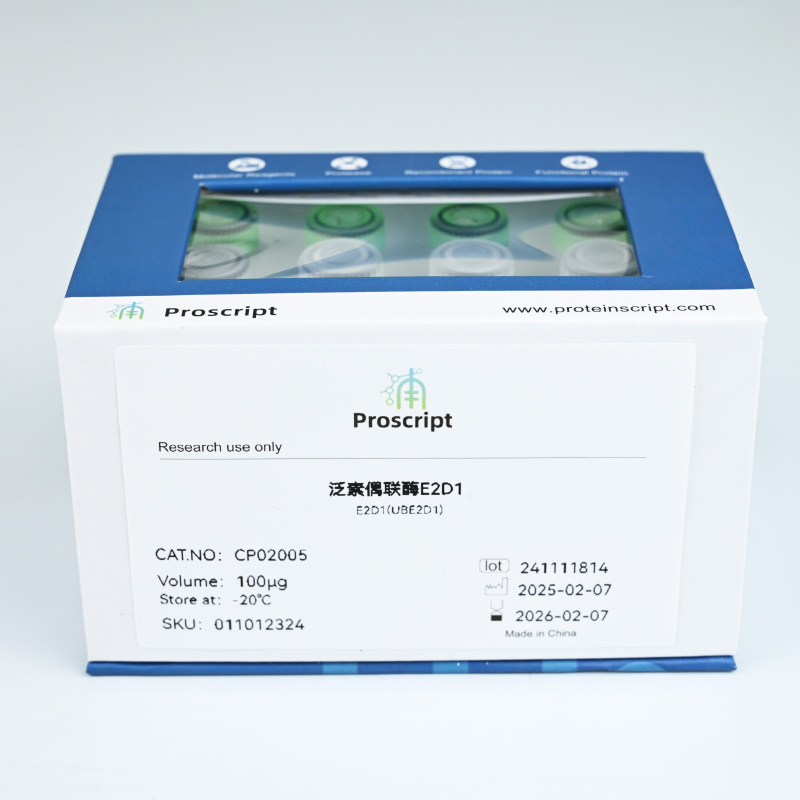 Recombinant Human Ubiquitin Conjugating  Enzyme E2D1 CP02005