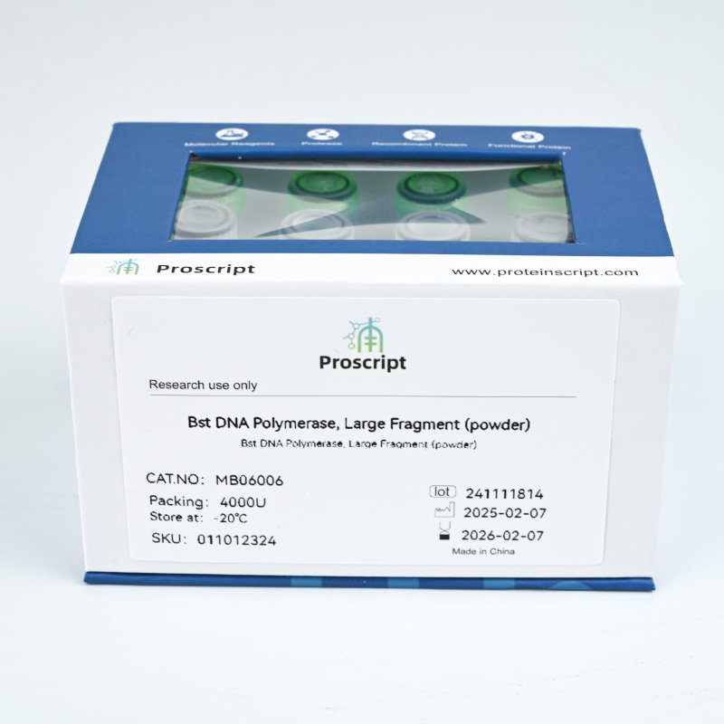 Bst DNA Polymerase, Large Fragment(powder) MB06006 科研试剂