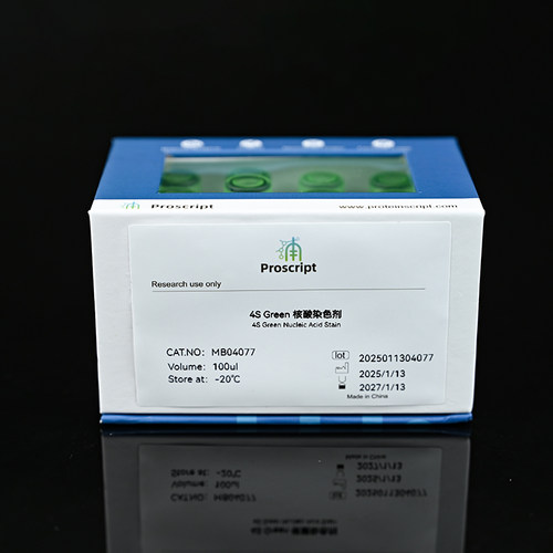 4S Green 核酸染色剂 MB04077 科研试剂现货