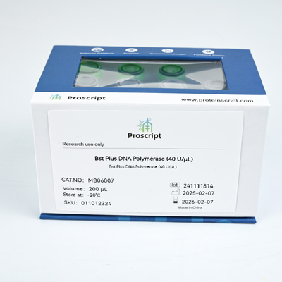Bst Plus DNA Polymerase (40 U/μL) MB06007 科研试剂 现货供应