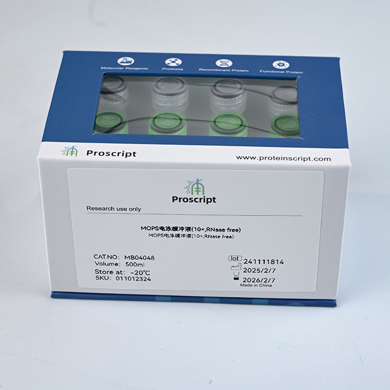 MOPS电泳缓冲液(10×,RNase free) MB04048 科研试剂 现货供应