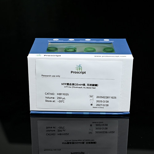 NTP Mix (25mM each, Nuclease free) MB11025 科研试剂
