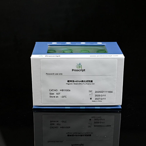 磁珠法mRNA纯化试剂盒 MB11006 科研试剂 现货供应