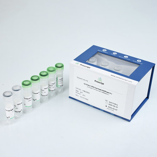 1st Strand cDNA Synthesis Kit(RNase H-)   MB03005   科研试剂