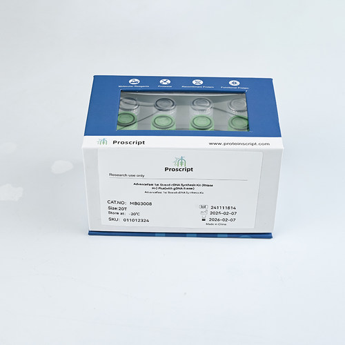 AdvanceFast 1st Strand cDNA Synthesis KitRNaseH-Plus MB03008