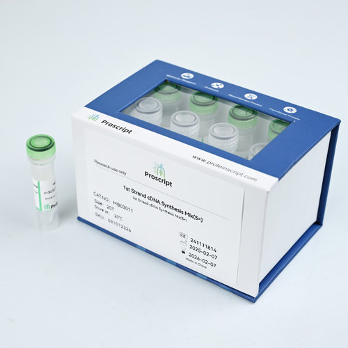 1st Strand cDNA Synthesis Mix(5×) MB03011 科研试剂 科研首选