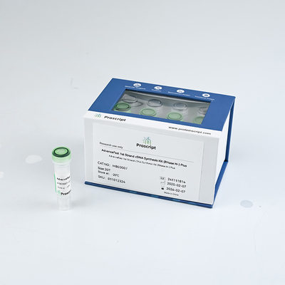 AdvanceFast 1st Strand cDNASynthesis KitRNase H-Plus MB03007