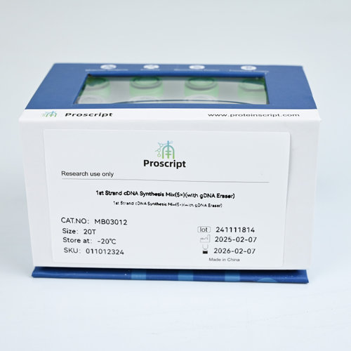 1st Strand cDNA Synthesis Mix(5×)(with gDNA Eraser) MB03012