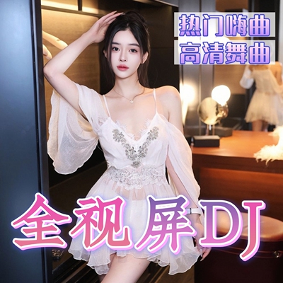 热门dj舞曲超清mv汽车载u盘音乐
