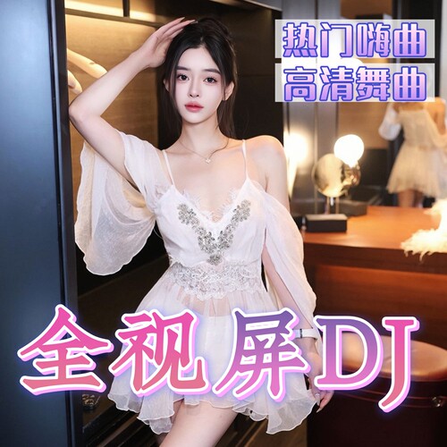 热门dj舞曲超清mv汽车载u盘音乐