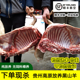 高原黑山带皮羊肉新鲜现杀正宗农家散放养贵州羊腿羊排黑山羊包邮