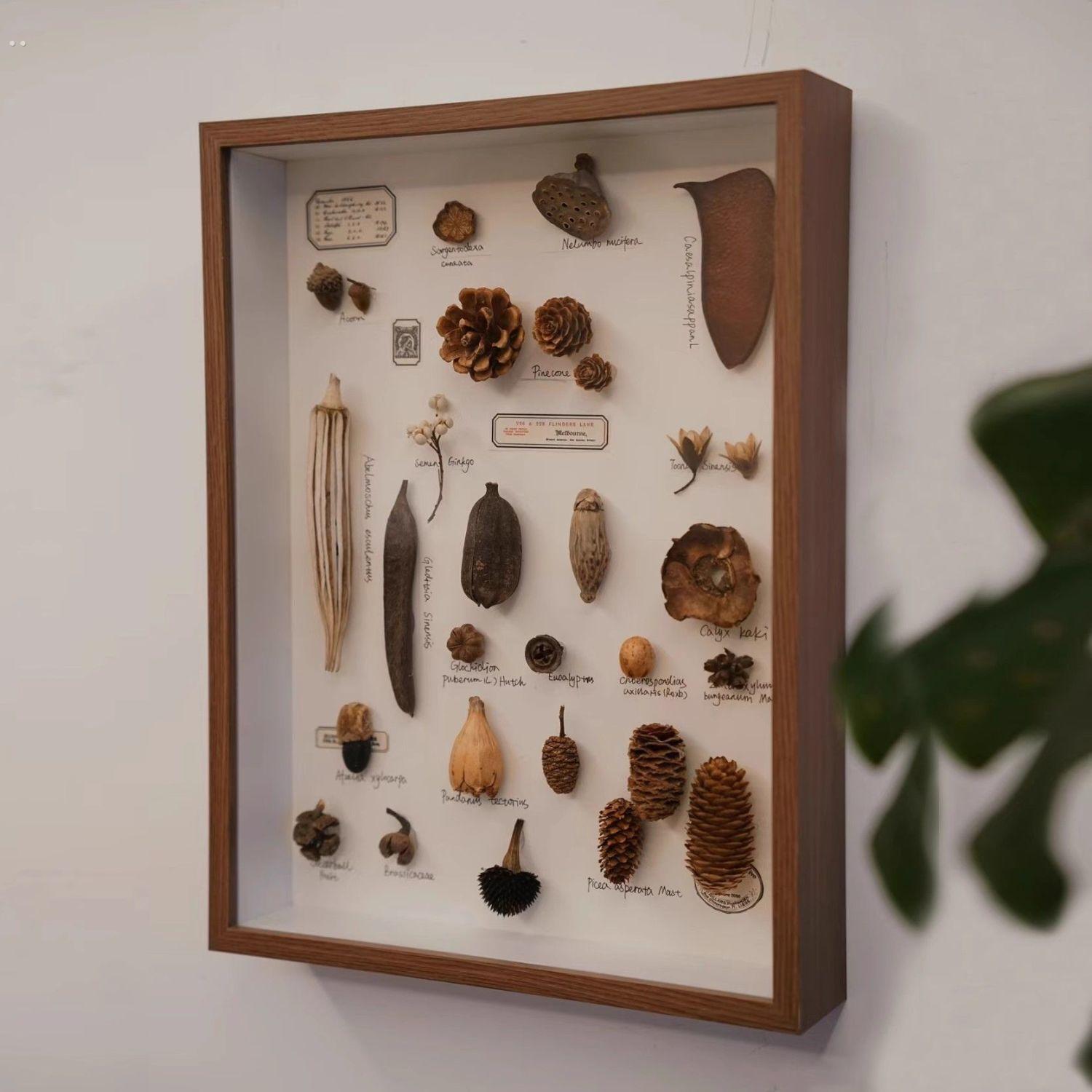 diy手工相框立体中空标本框贝壳石头植物干花收藏保存展示画框架