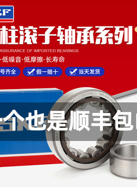 瑞典进口SKF轴承 NUP 212 213 214 215 216 217 218  EC ECP/C3