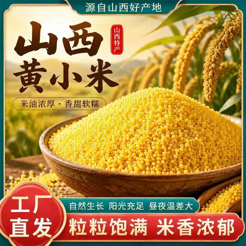 山西黄小米熬粥山西特产小米油小米杂粮食用小米粥吃的米