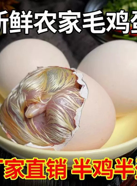 新鲜毛蛋半鸡半蛋可选15到20天毛鸡蛋喜蛋胚胎蛋全毛烧烤油煎美味
