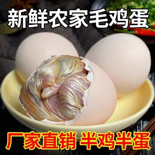 新鲜毛蛋半鸡半蛋厂家直发