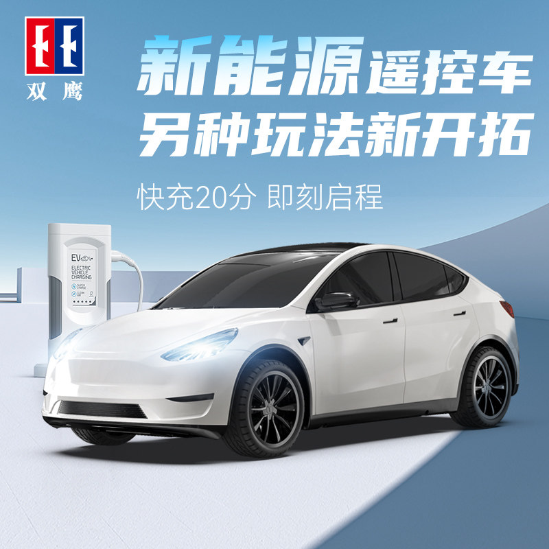 双鹰新款特斯拉新能源遥