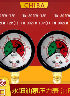 CHIBA台湾永佃TM302FW-T4P电动润滑油泵压力MFE表注油机油压表T2P
