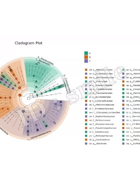 python文本分析主题分析LDA主题模型bertopic主题演化主题聚类