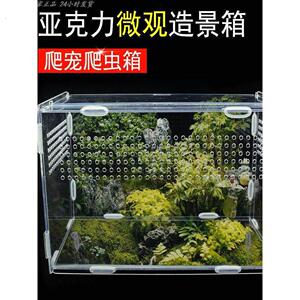 宠物蛇饲养箱爬宠亚克力饲养盒爬虫蜗牛蜥蜴角蛙蛇蜘蛛生态螳螂缸