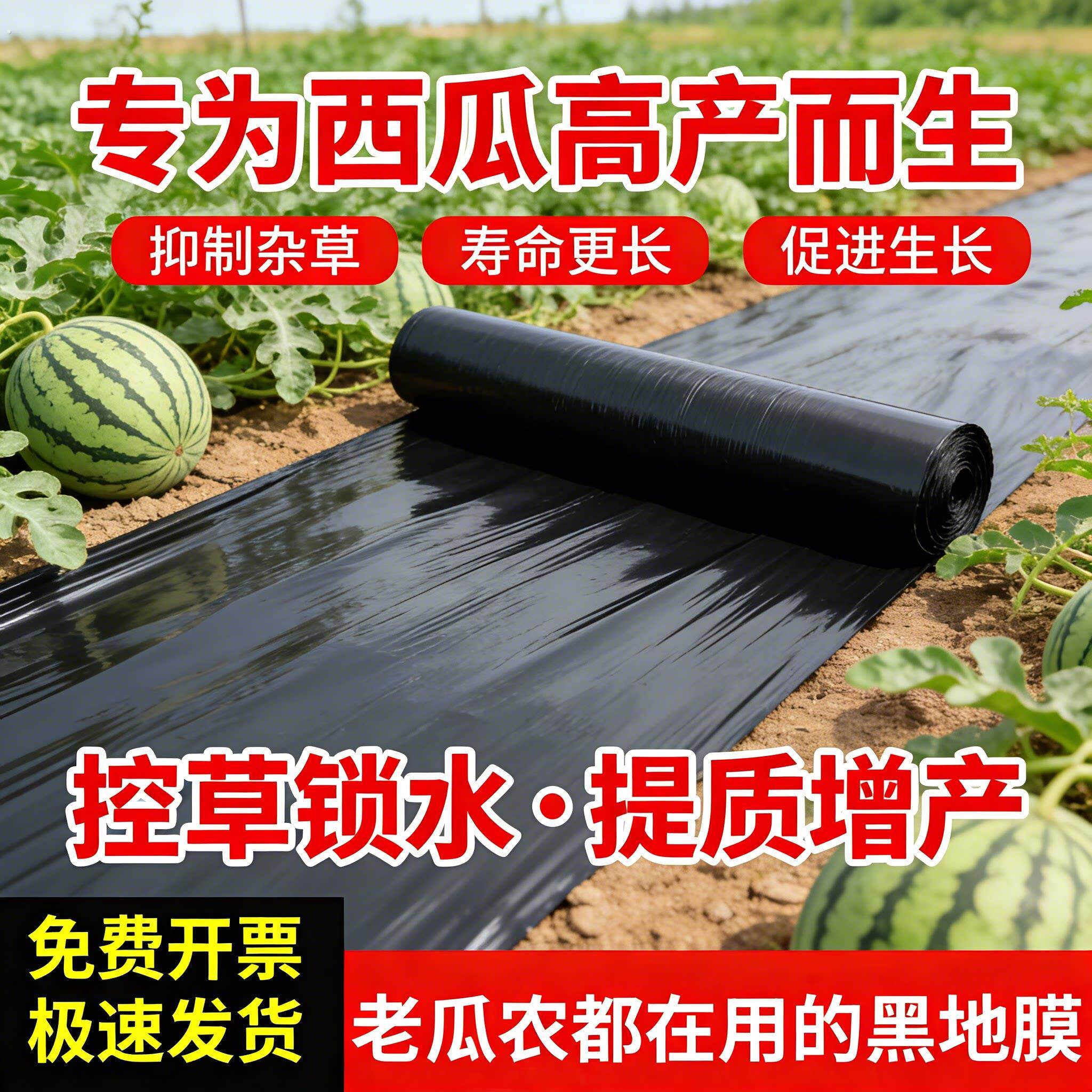 西瓜专用黑色地膜加厚小菜园盖菜防长草农用种植西瓜薄膜定制