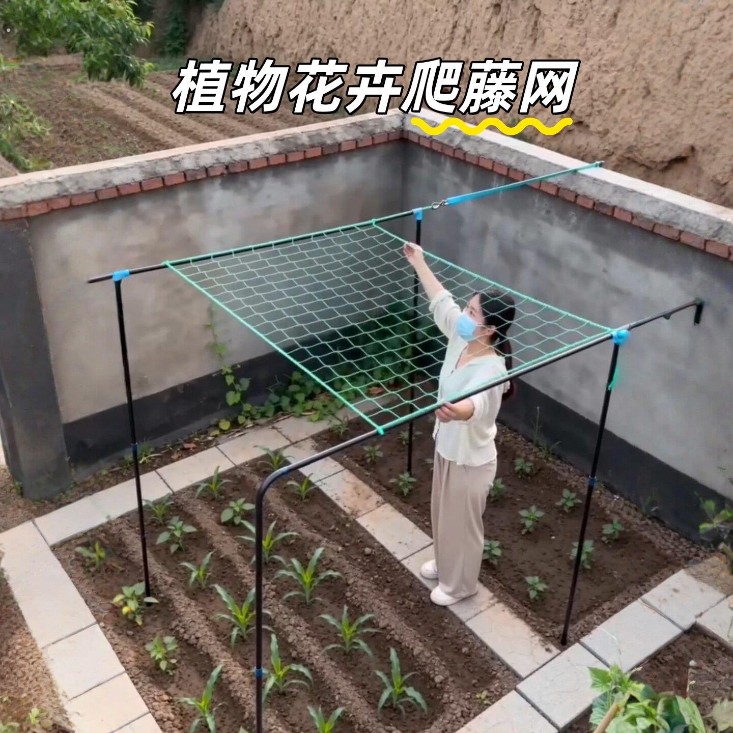 爬藤网植物攀爬网黄瓜丝瓜豆角苦瓜种植网蔬菜百香果加粗网格搭架