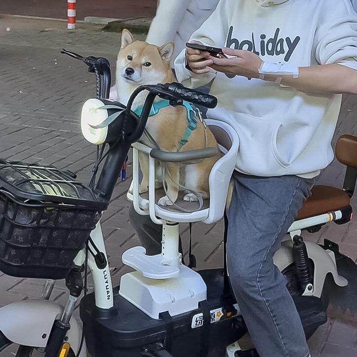电动车带狗狗座椅外出遛狗神器小型犬前踏板摩托车载狗宠物篮子