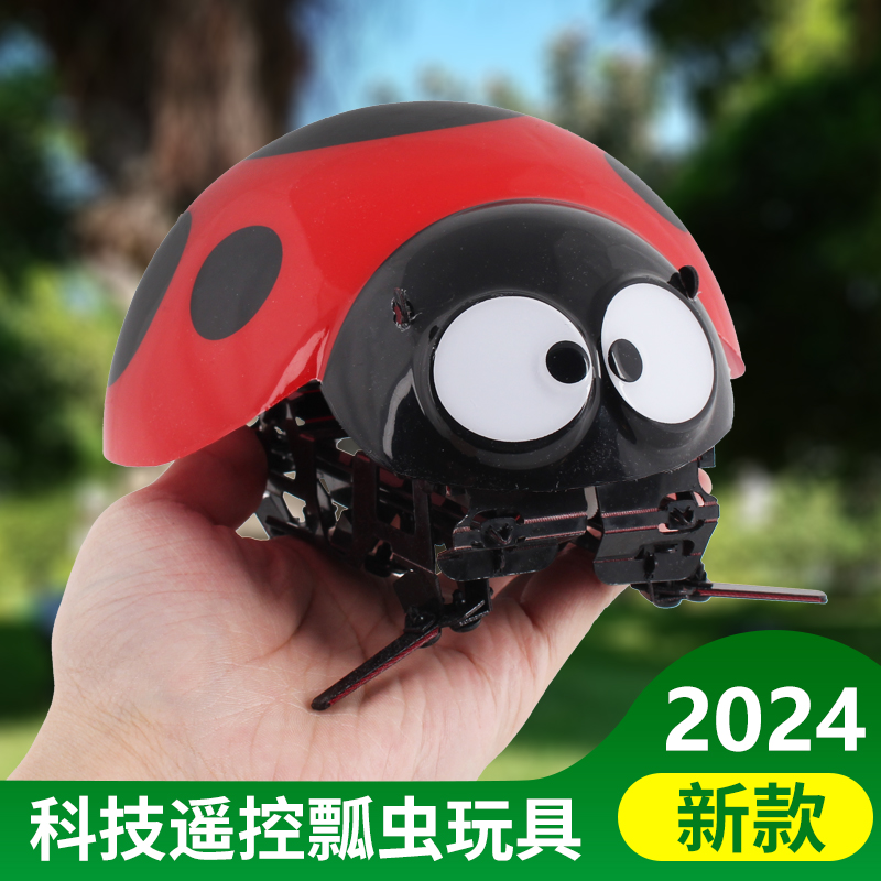 网红同款昆虫七星瓢虫益智遥控