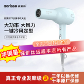 欧莱诗吹风机专业发廊级大功率大风力速干 干造型负离子护发恒温