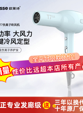 欧莱诗吹风机专业发廊级大功率大风力速干 干造型负离子护发恒温