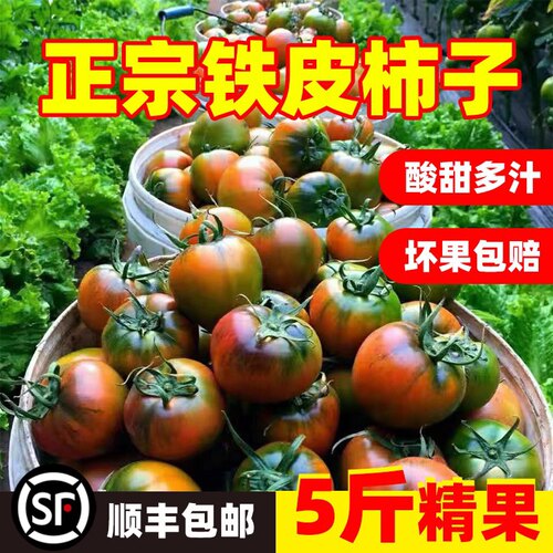 顺丰正宗丹东铁皮草莓柿子现摘碱地柿子新鲜水果番茄绿腚西红柿5