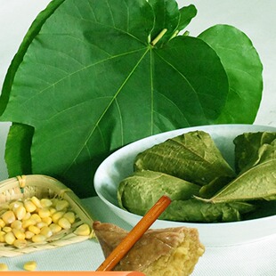 四川桐子叶苞谷粑粑嫩玉米巴巴包谷馍馍三角粑浆粑将巴同子树叶子