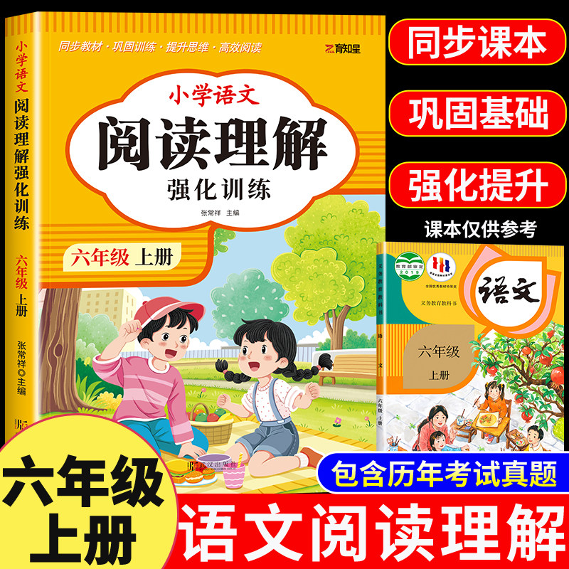 2026新版六年级上册阅读理解强化训练书下册小学生每日一练训练题 六年级上学期语文同步阅读理解专项训练书同步作文6上人教版