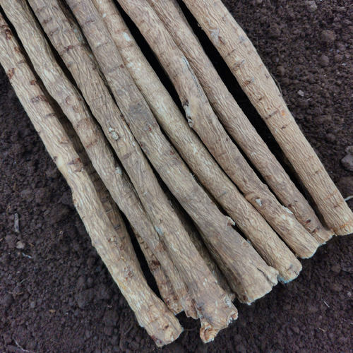 甘肃岷县箭杆黄芪北芪无硫正品