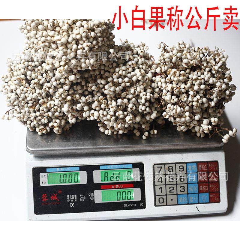 小白果干花乌桕果冬菇草薏米白米果花环DIY干花材料称公斤