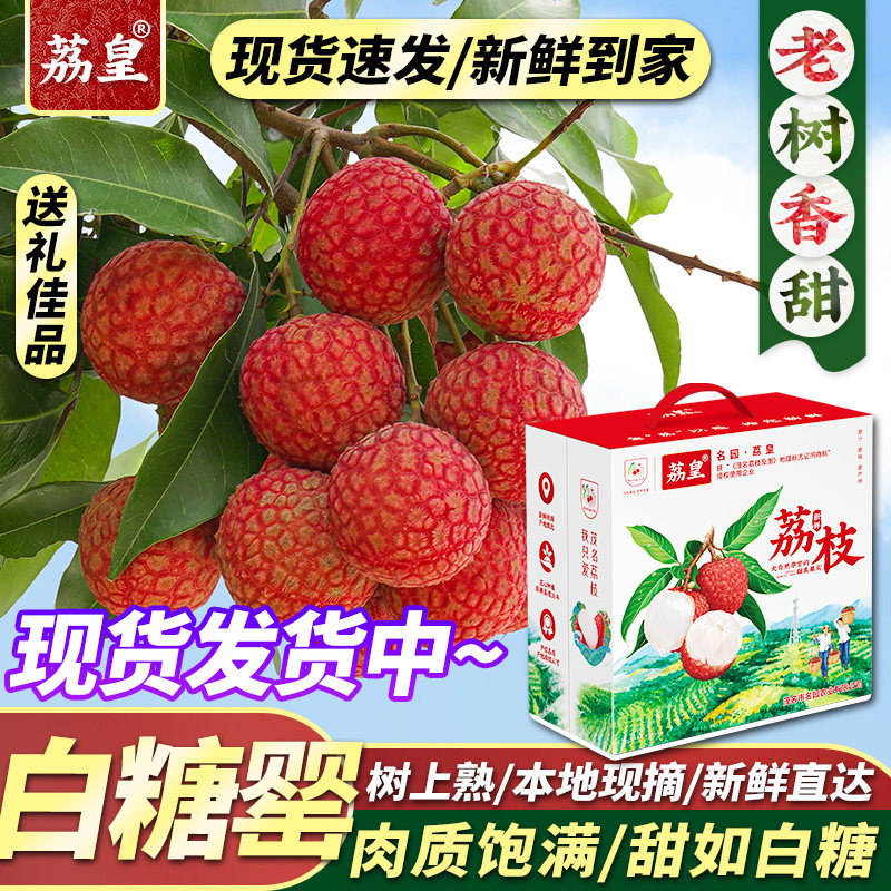 荔皇桂味现货妃子|笑仙-进奉荔枝仙进新鲜现摘送礼水果礼盒包邮RM