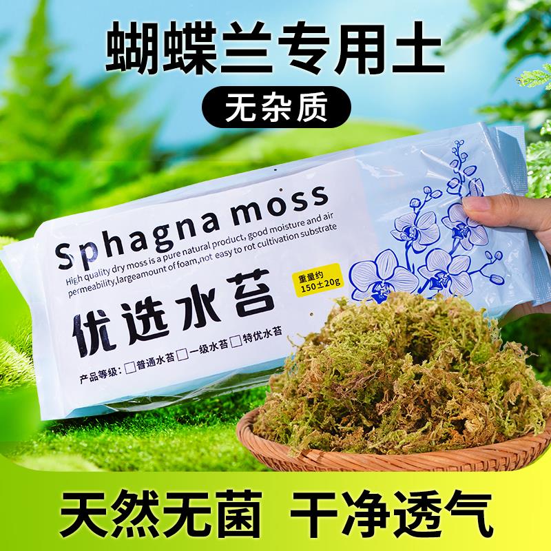 干苔藓天然优质青苔花种植爬宠垫